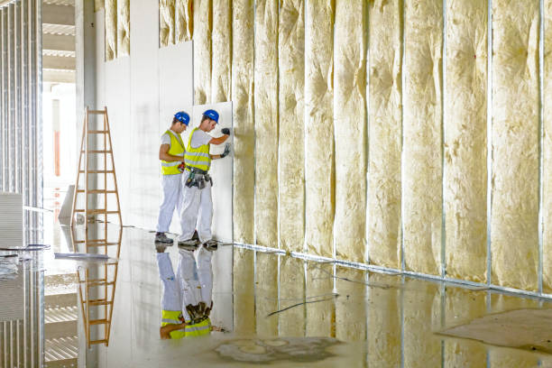 Best Fiberglass Insulation in Laramie, WY